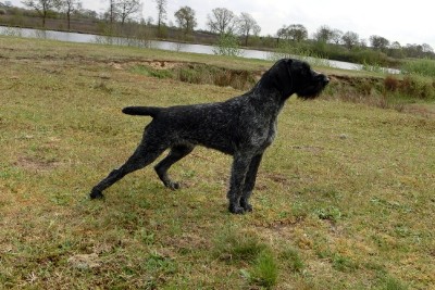 Ulla von Erthal (Улла фон Эрталь)